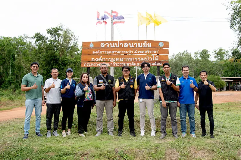 JAS and PA observed commercial forests reforestation