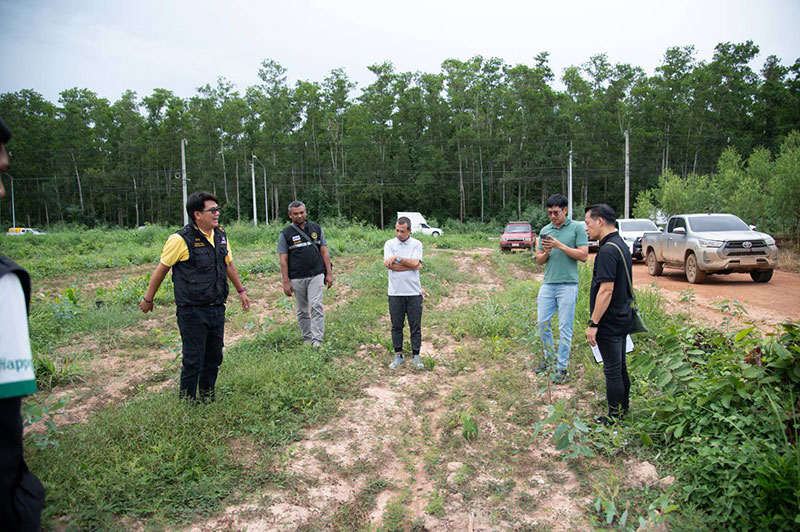 JAS and PA observed commercial forests reforestation