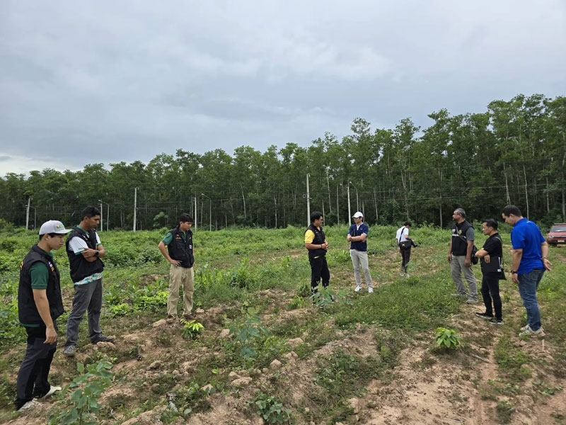 JAS and PA observed commercial forests reforestation