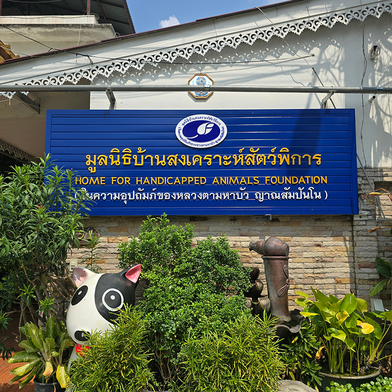 JAS – PA – LOOK LOOK Team Up to Support Disabled Animals