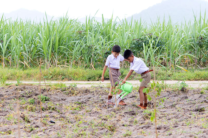 “JAS” รวมพลังผู้บริหารและพนักงานในเครือ ทำกิจกรรมโครงการ “ปลูกป่าจัสมิน พลิกฟื้นดินสู่ความยั่งยืน”