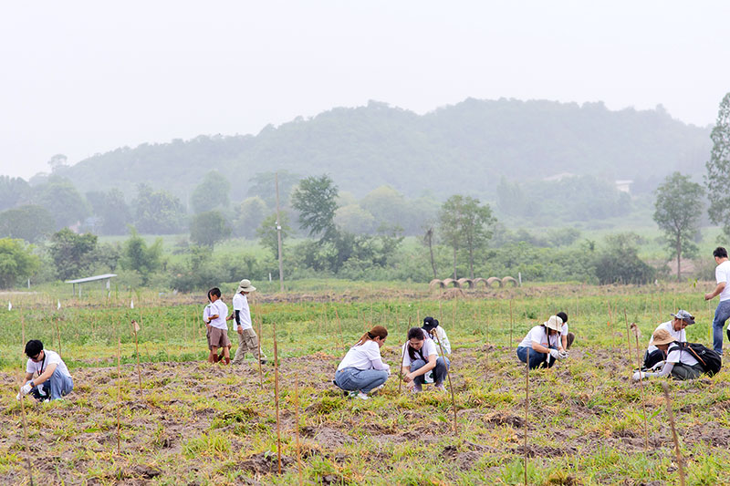 “JAS” รวมพลังผู้บริหารและพนักงานในเครือ ทำกิจกรรมโครงการ “ปลูกป่าจัสมิน พลิกฟื้นดินสู่ความยั่งยืน”